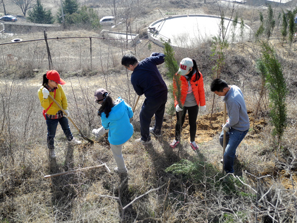 集團貿易公司第四黨支部組織義務植樹(shù)活動